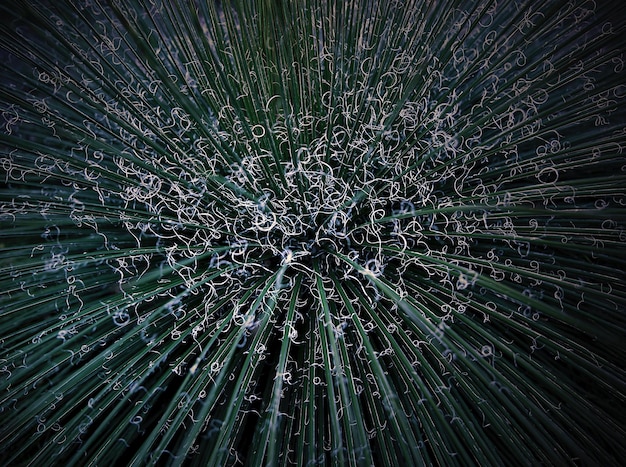 A stylized representation of a tangled web of digital wires and code snippets, symbolizing the complex technological infrastructure and regulatory challenges faced by companies entering the metaverse. Interspersed are icons representing data privacy, security threats, and legal documents, highlighting the multifaceted nature of the challenges.