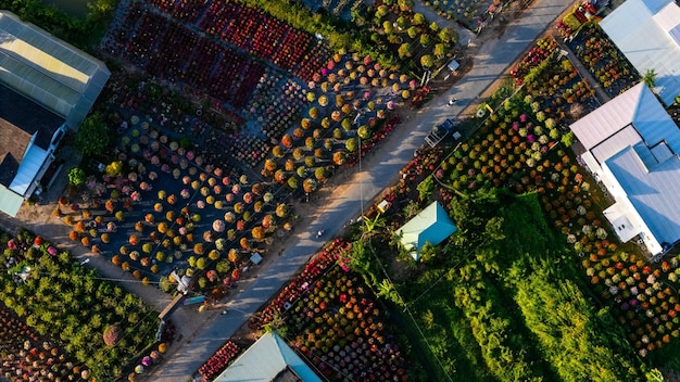 A bird's-eye-view shot of a factory with a green roof, showcasing various plants and vegetation growing on top. Solar panels are integrated into the roof design, and the factory is surrounded by trees and green spaces. The overall scene conveys a sense of harmony between industry and nature.