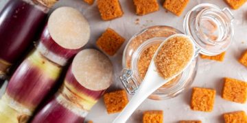 FDA Ruling on Artificial Sweeteners: 2025 Diet Impact in the US FDA Ruling on Artificial Sweeteners: 2025 Diet Impact in the US - Cover Image