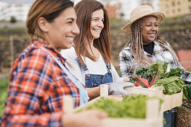 A diverse group of people, including children, harvesting vegetables in a community-based vertical farm. The atmosphere is cheerful and educational, with people learning about sustainable agriculture.
