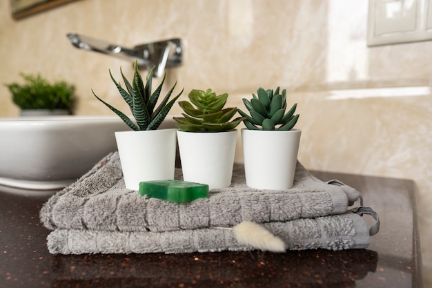 A close-up shot of a meticulously cleaned and organized bathroom in a rental property, featuring fresh towels, toiletries, and a small plant for a welcoming touch.