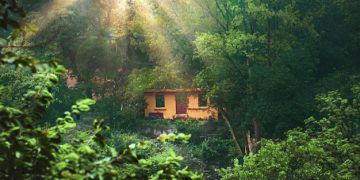 The Tiny House Movement: Financial Freedom Through Downsizing? The Tiny House Movement: Financial Freedom Through Downsizing? - Cover Image