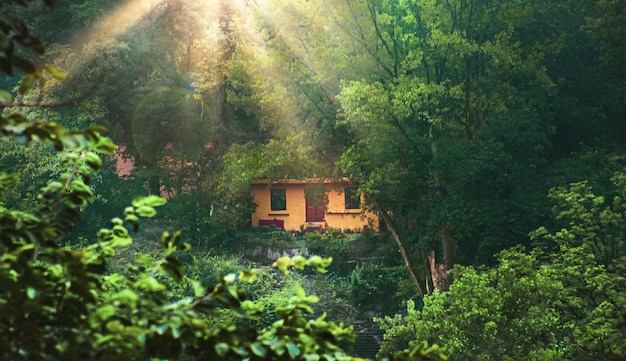 The Tiny House Movement: Financial Freedom Through Downsizing?