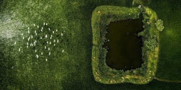 Water Conservation: Strategies to Cut Your Bill by 15% in 2025 - Cover Image