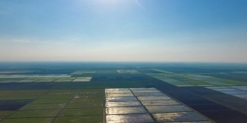 The Future of Renewable Energy in the US: Investments, Policy, and Growth The Future of Renewable Energy in the US: Investments, Policy, and Growth - Cover Image