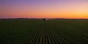Sunrise over a large agricultural field with a tractor, representing the future of farming and farm bill changes.
