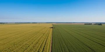Aerial view of diverse US agricultural fields, symbolizing 2025 policy impact on crop markets.